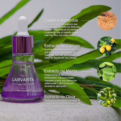Suero para la piel Larvanta Cyperus Rotundus